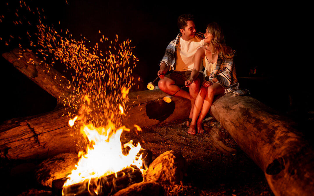 Humber Bay Bonfire Engagement Session – Emille & Kleber