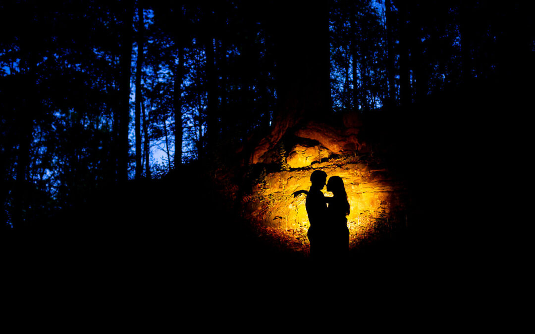 Dundas Valley Conservation Area Engagement Photos – Cierra & Matt