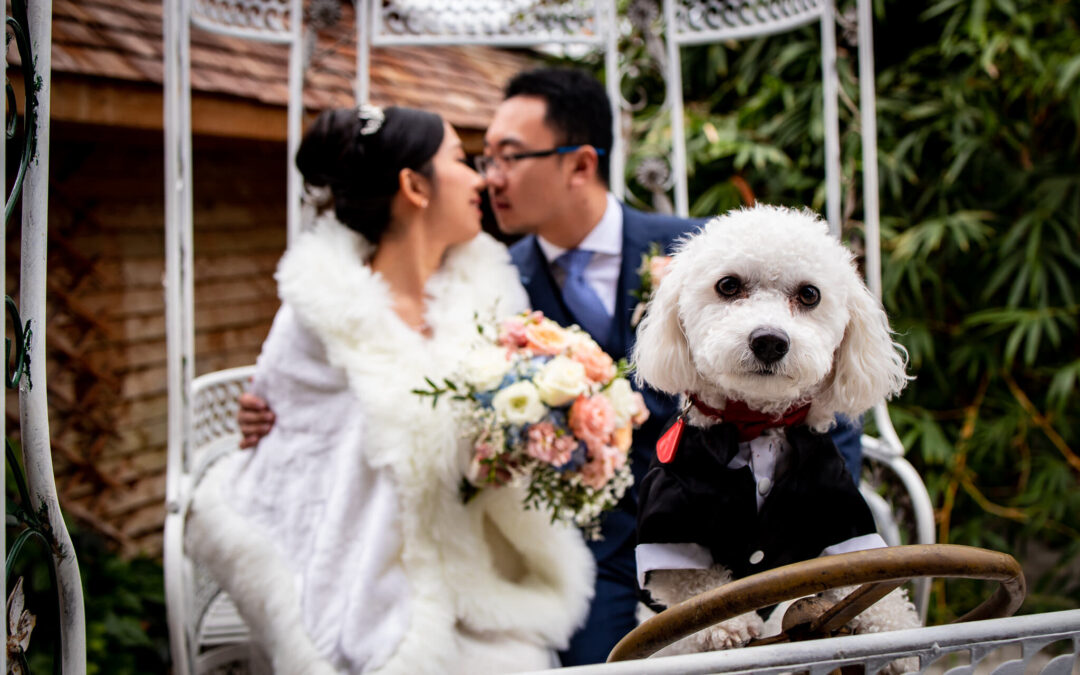Madsen’s Greenhouse Wedding – Rachel and Joe