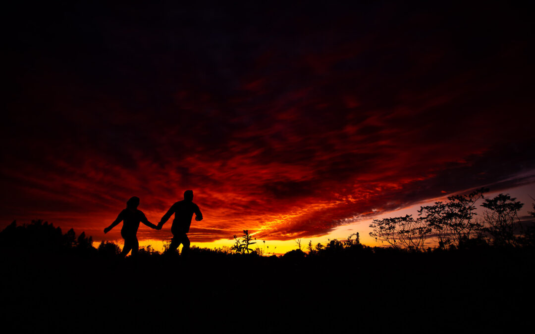 Rouge National Urban Park Engagement Photos – Christina and Travis